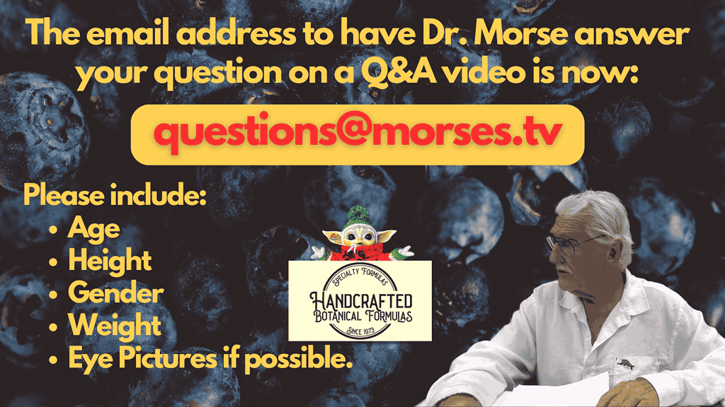 Image saying to use questions@morses.tv