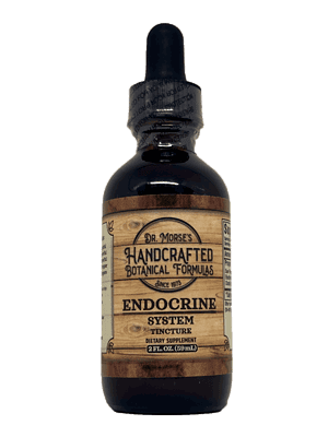 Endocrine - System (2oz Tincture) - HBF
