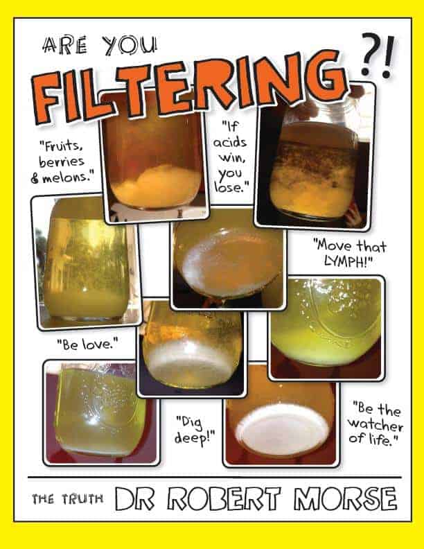 Various stages of kidney filtration showing sediment in urine jars — Dr. Robert Morse's filtering poster